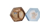 El Dorado Tiny Pet Rocks  Great Novelty Gift  Party Gift  Gag Gift  Unique Gift