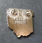 Ohio Us Buckeye State Map Usa Flag Lapel Pin Badge 1 Inch