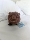 Ganz Webkinz Muskrat Plush Hm429 Retired Stuffed Animal With Sealed Code