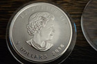  bigfoot  Privy Reverse Proof 1 0z Canadian Silver Maple Leaf Coin 2016  Rare