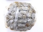 Oem John Deere Ae74238 Drivetrain Roller Chain For 446 447 448 456 457 458