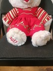 2017 Dan Dee Plush Snowflake Teddy Bear Girl Red Floral Dress Holiday Time 20 