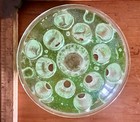 Beautiful Vintage   Vaseline Uranium Green Glass   13 Hole 3 Footed Flower Frog