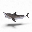 Great White Shark Statue Hanging Life Size 6ft