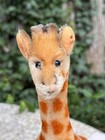 Steiff Giraffe 1960s Mohair Plush 35cm 11 5   No Tags