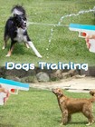 Squirt Spray Guns For Cats Dogs Training  Cat Deterrent  Water Spray Pistols For