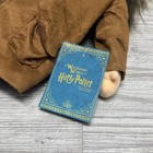 Harry Potter Rubeus Hagrid Magical Creatures Motorbike Adventure Plush 16  Nwt