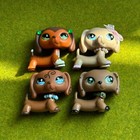 Lps 4pcs Dachshund Mini Pet Shop Dog Kid Toy Collectible Figure Pet Cute Gift