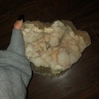 Ancient Ocean Fossilized Coral
