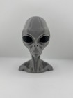 6    Gray Alien Head Bust     Ultra Smooth 3d Printed Petg     Ufo Roswell Style