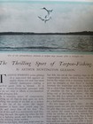 Tarpon Fishing Angling Rare Old Antique Edwardian Article 1905