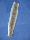 1 Rattlesnake Skin Piece Snake Skin Scraps Pen Blanks Small Wrap Education F7