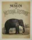 Alexander Francis Lydon  1836   1917  Original Antique Colored Engraving Elephant