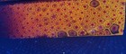 Fluorescent Millefiori Gold White Red Flowers Glass Rough Cabochon Slabs 2 2 