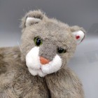 Ty Sally Winey  tumbles  The Cat Kitty Hard To Find Plush Jointed No Hang Tag