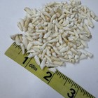 Lot Of 200 Assorted Small Coyote Teeth Real Cleaned Taxidermy Weird Goth  4094