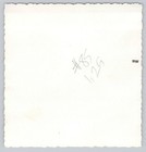 1955 Snapshot Handsome Young Men Buddies Basketball 50s Fashion Vintage Photo