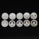 2015-2024 China 10 Yuan 30g   1oz Panda Silver Coin
