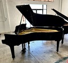 Yamaha C5 Grand Piano 6 7  Polished Ebony
