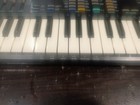 Casio Sk-1 32-key Sampling Electronic Keyboard Battery Powered Speaker