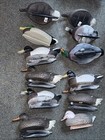 1 Dozen Full Body Mallard Duck Decoys  a