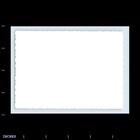 Old Vintage Photo Women Standing In Yard 1960