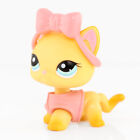Minilpsshop Lps Shorthair Cat Yellow Cat  339 With Lps Accessories Jacket Bobble