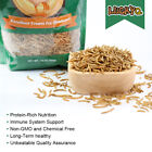 Bulk Dried Mealworms For Chickens Wild Birds Feed Bluebirds Hamster Hen Treats