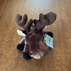 Nwt Webkinz Moose Unopened Sealed Code Y2k Nostalgia Stuffed Animal Plush New