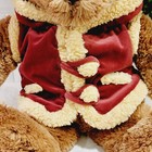 2009 Dan Dee Collector s Choice Soft Teddy Bear Plush Stuffed Animal