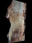 Xl Spalted Birdseye Maple Burlwood Blank  Figured Maple Burl  Curly Maple Blank 