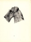Antique Airedale Terrier Print Ardross 1935 Wardle Art Illustration Cfw 5749x