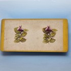 Victorian Natural History Stereoview C1860 Real Photo Unusual Tint Purple Flower