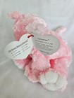 Ty Beanie Babies Collection   Carnation The Cat