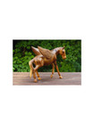 10  Wooden Hand Carved Horse Pegasus Art Figurine Statue Sculpture Handmade Wood