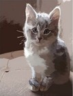 Custom Pet Portraits Two A4  8 3x11 7 Inches  Dog Puppy Cat Digital Original