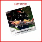 Kaytee Koi s Choice Koi Floating Fish Food  10 Pound