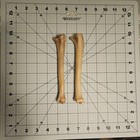 Goat Leg Bones  Jewelry Supplies  Carving  Arts   Crafts