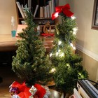 Christmas Trees     Set Of Two 15-16 Inch Mini Christmas Trees  - 1 Tree W Lights
