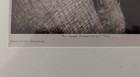 1916 Edward Curtis Original Photogravure  hesquiat Profile 