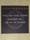 Whitesnake Slip Of The Tongue 2 Sided Promo Album Flat 12 x12 