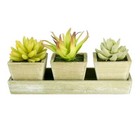 Faux Cactus Aloe Vera Succulent Planter In Brown Wooden Tray 3pcs Set