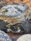 Rocks For Tumble 2 Lbs
