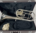 Yamaha Yah-602 Alto Horn W case