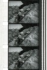 Winchester  73 Great Full Feature On 16mm Film Stock James Stewart 1950