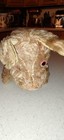 Vintage Steiff-style Mohair Stuffed Standing Puppy Dog Animal Toy 9  Long Tlc