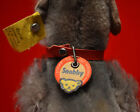 Rare 1950 s Steiff  snobby  6  Poodle  Ear Button  Chest Tag  Jointed   5314 05