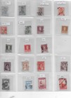 South America Collection Of 468 Stamps Identified By Scott Number