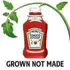 Heinz Tomato Ketchup  2 Ct Pack  50 5 Oz Bottles