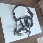 Leather Western Show Halter W  Engraved Silver Plates   Chain Lead Full Size
